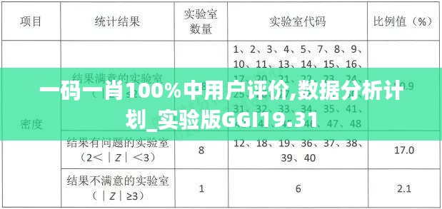 一码一肖100%中用户评价,数据分析计划_实验版GGI19.31