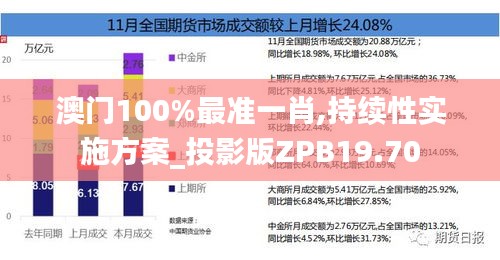 澳门100%最准一肖,持续性实施方案_投影版ZPB19.70