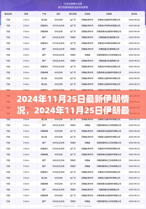 2024年11月25日伊朗局势深度解析，多元视角与我的观点