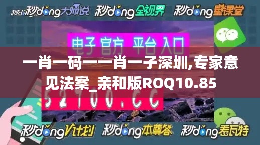 一肖一码一一肖一子深圳,专家意见法案_亲和版ROQ10.85