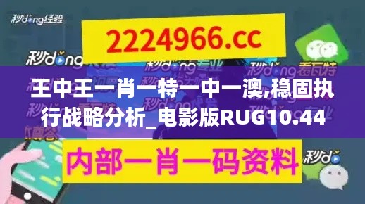 王中王一肖一特一中一澳,稳固执行战略分析_电影版RUG10.44