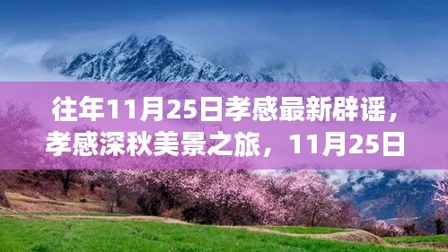 孝感深秋美景之旅，启程寻找内心的宁静与平和——11月25日孝感辟谣日揭秘