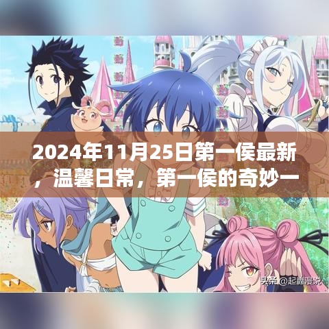 第一侯的奇妙日常，友情魔法与温馨日常（2024年11月25日最新）