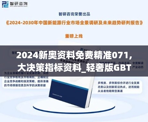 2024新奥资料免费精准071,大决策指标资料_轻奢版GBT10.72