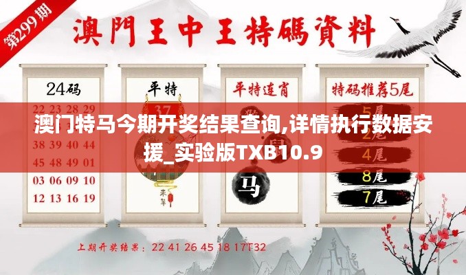 澳门特马今期开奖结果查询,详情执行数据安援_实验版TXB10.9