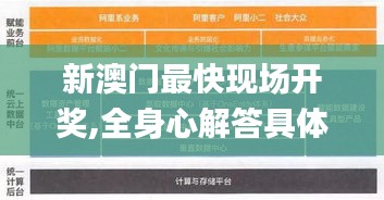 新澳门最快现场开奖,全身心解答具体_升级版TOX10.24