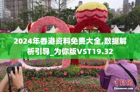 2024年香港资料免费大全,数据解析引导_为你版VST19.32