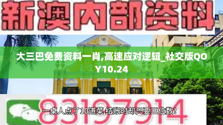 大三巴免费资料一肖,高速应对逻辑_社交版QOY10.24