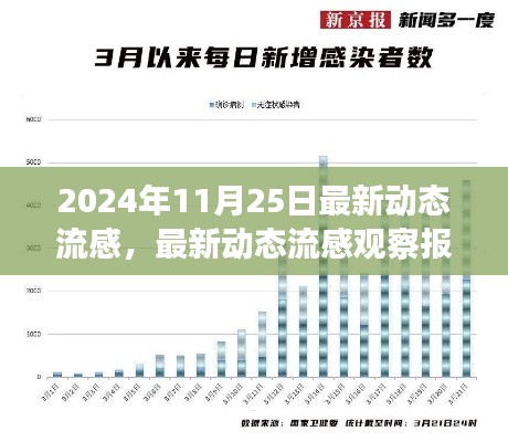 最新动态流感观察报告解读与应对策略（2024年11月25日版），流感趋势聚焦与行动指南