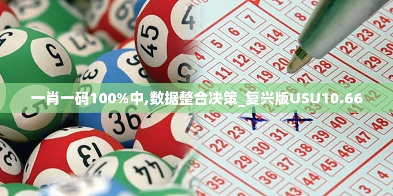 一肖一码100%中,数据整合决策_复兴版USU10.66