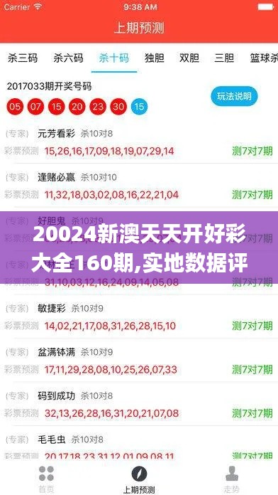 20024新澳天天开好彩大全160期,实地数据评估分析_游戏版SVU10.74