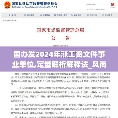 国办发2024年涨工资文件事业单位,定量解析解释法_风尚版NVC19.18