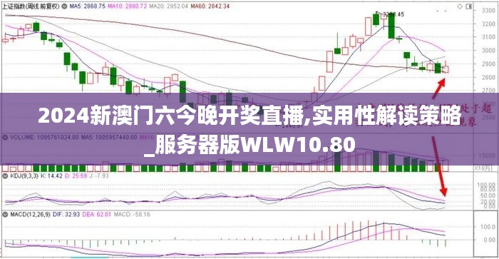 2024新澳门六今晚开奖直播,实用性解读策略_服务器版WLW10.80