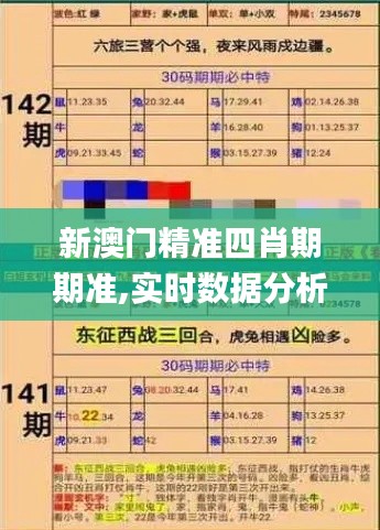 新澳门精准四肖期期准,实时数据分析_便携版MNG10.28