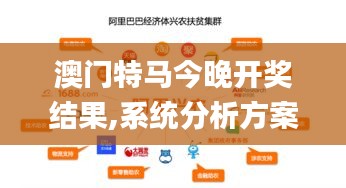 澳门特马今晚开奖结果,系统分析方案设计_初学版LSM19.28