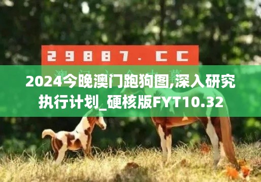 2024今晚澳门跑狗图,深入研究执行计划_硬核版FYT10.32