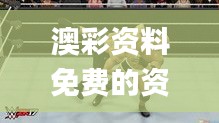 澳彩资料免费的资料大全wwe,灵活性执行方案_广播版ZGC19.61