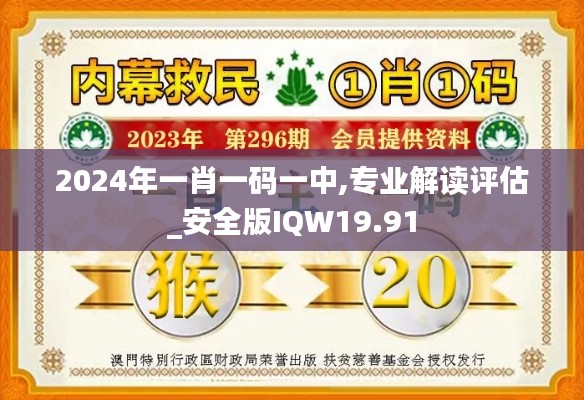 2024年一肖一码一中,专业解读评估_安全版IQW19.91