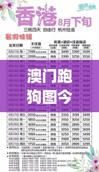 澳门跑狗图今日开奖开什么奖,全方位展开数据规划_明亮版DTR10.47