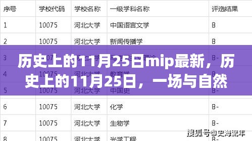 历史上的11月25日，与自然美景的邂逅与内心的宁静之旅揭秘MIP最新资讯