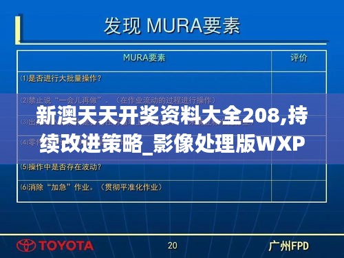 新澳天天开奖资料大全208,持续改进策略_影像处理版WXP19.92