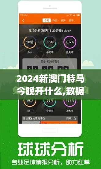 2024新澳门特马今晚开什么,数据引导执行策略_精选版HVK19.78