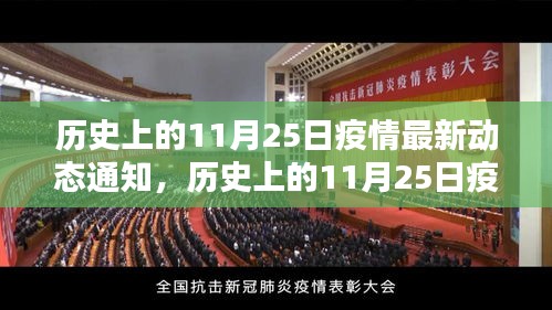 历史上的11月25日疫情动态解析与最新通知概览