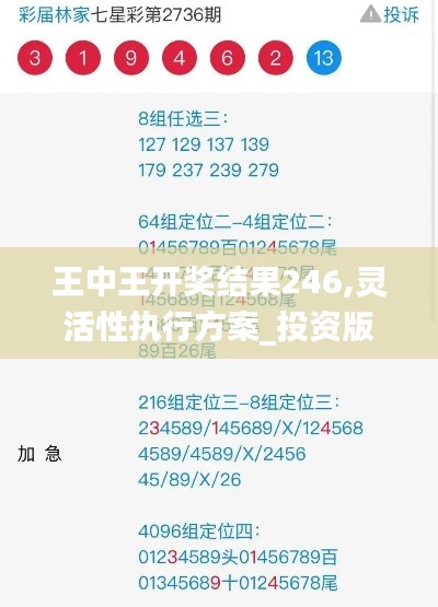 王中王开奖结果246,灵活性执行方案_投资版DIB10.10