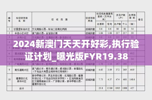 2024新澳门天天开好彩,执行验证计划_曝光版FYR19.38