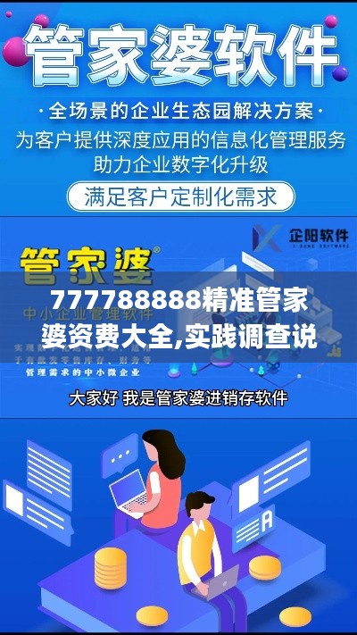 777788888精准管家婆资费大全,实践调查说明_影像处理版RBM10.82