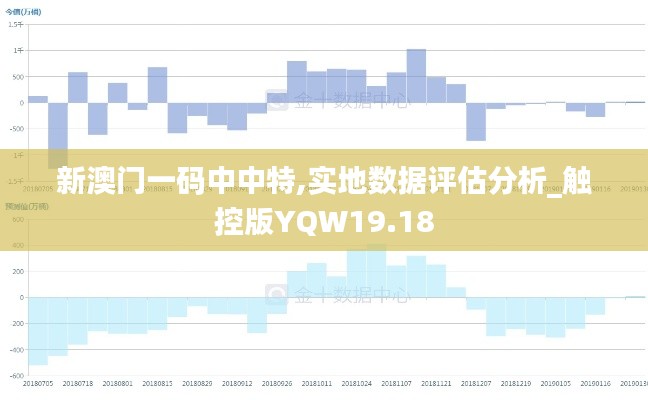 新澳门一码中中特,实地数据评估分析_触控版YQW19.18