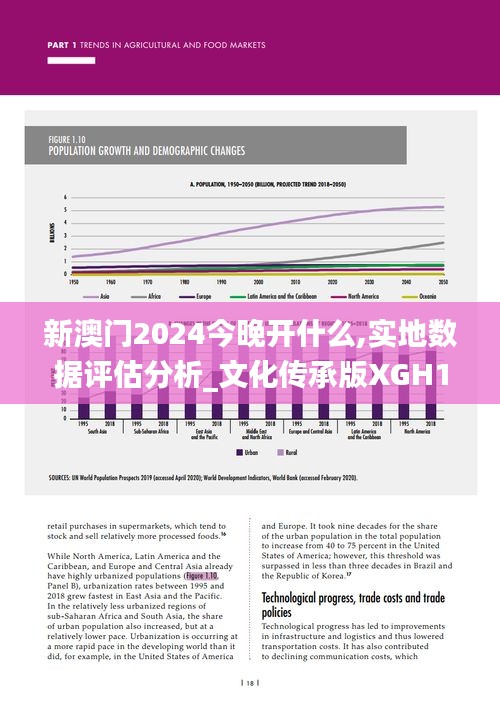 新澳门2024今晚开什么,实地数据评估分析_文化传承版XGH10.49