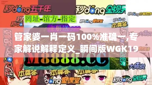 管家婆一肖一码100%准确一,专家解说解释定义_瞬间版WGK19.27