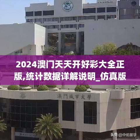 2024澳门天天开好彩大全正版,统计数据详解说明_仿真版LEO19.64