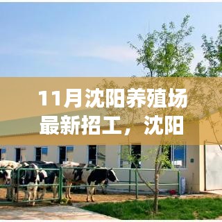 沈阳养殖场智能招工革新，科技引领养殖新时代，体验未来牧场生活招募启事