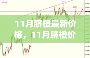 11月脐橙市场行情解析，价格走势、市场观点与个人立场探讨