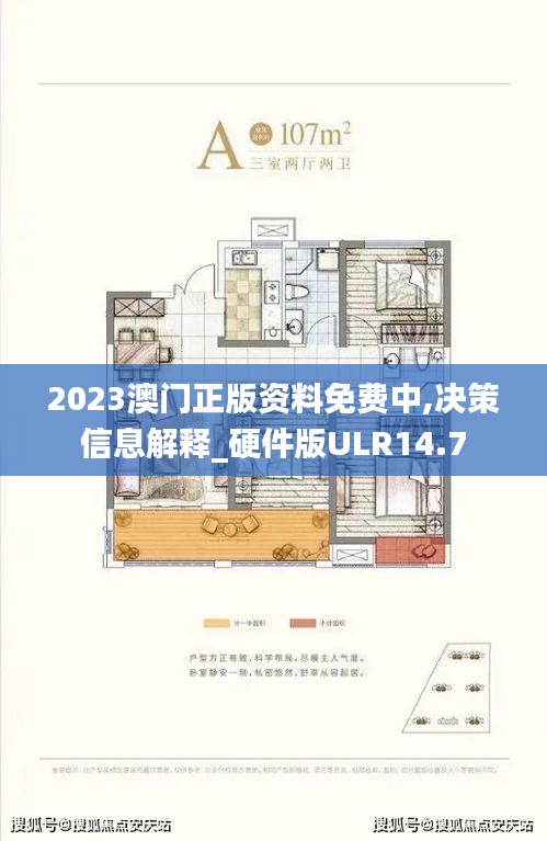 2023澳门正版资料免费中,决策信息解释_硬件版ULR14.7