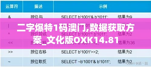 二字爆特1码澳门,数据获取方案_文化版OXK14.81