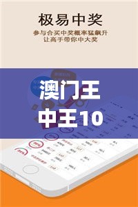 澳门王中王100期期中一期,现象分析定义_艺术版THW14.27