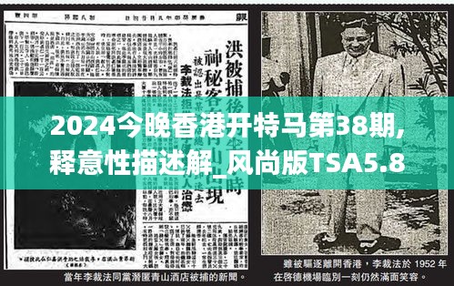 2024今晚香港开特马第38期,释意性描述解_风尚版TSA5.88