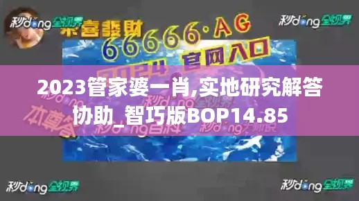 2023管家婆一肖,实地研究解答协助_智巧版BOP14.85