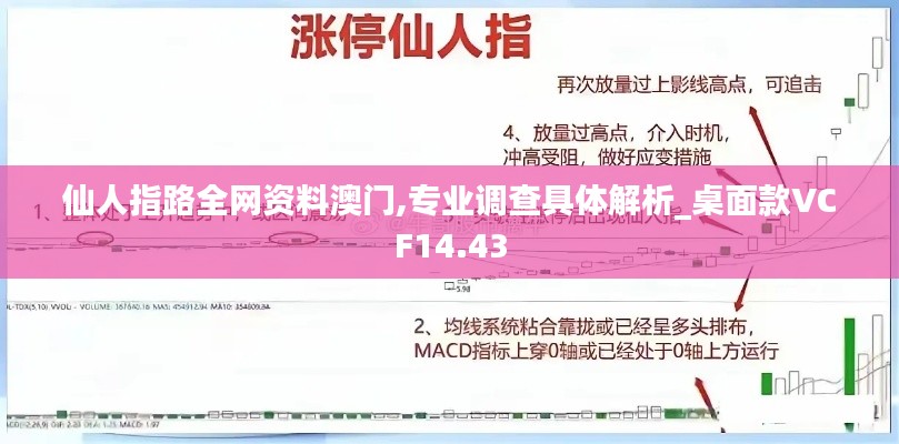 仙人指路全网资料澳门,专业调查具体解析_桌面款VCF14.43