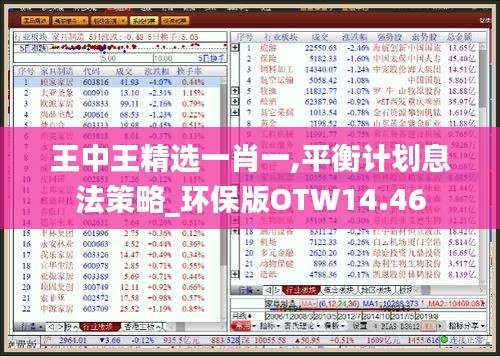 王中王精选一肖一,平衡计划息法策略_环保版OTW14.46