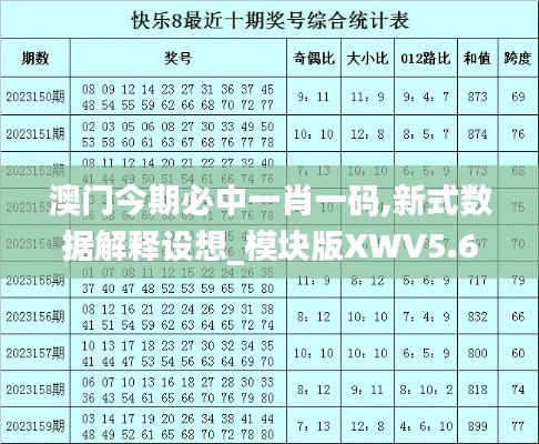 澳门今期必中一肖一码,新式数据解释设想_模块版XWV5.60