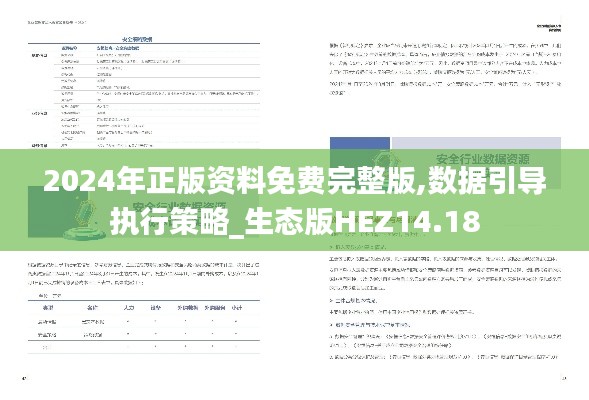 2024年正版资料免费完整版,数据引导执行策略_生态版HEZ14.18