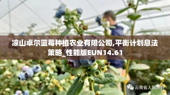 凉山卓尔蓝莓种植农业有限公司,平衡计划息法策略_性能版EUN14.61