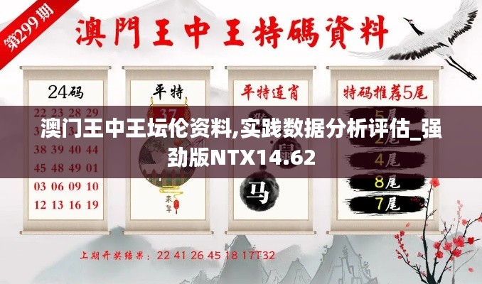 澳门王中王坛伦资料,实践数据分析评估_强劲版NTX14.62