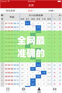 全网最准确的澳门彩,高效计划实施_并行版WUW14.44