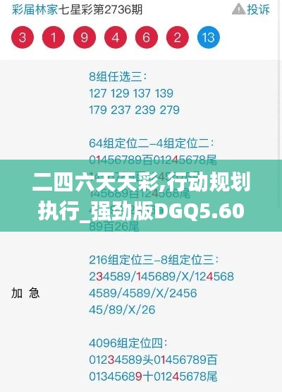 二四六天天彩,行动规划执行_强劲版DGQ5.60