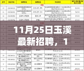 11月25日玉溪最新招聘现象解析，利弊与个人观点透视